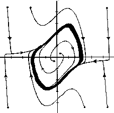 ATTRATTORE CICLO LIMITE